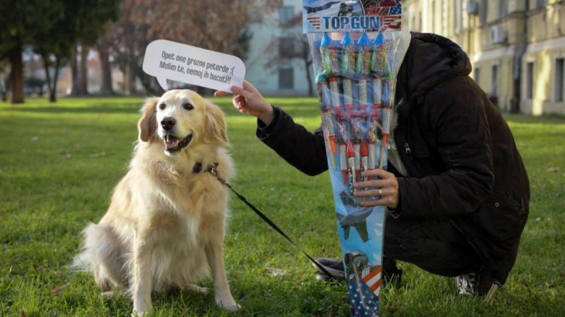 Prijatelji životinja povodom korištenja piroterhnike: To je legalizirani teror nad osobama s PTSP-om i životinjama