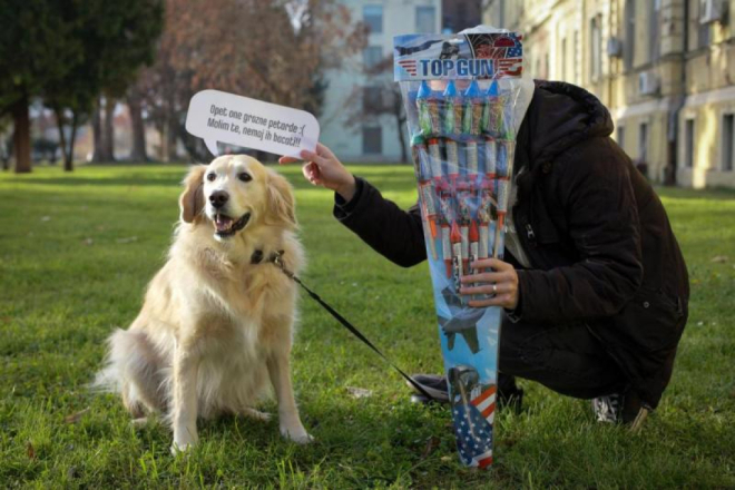 Prijatelji životinja povodom korištenja piroterhnike: To je legalizirani teror nad osobama s PTSP-om i životinjama