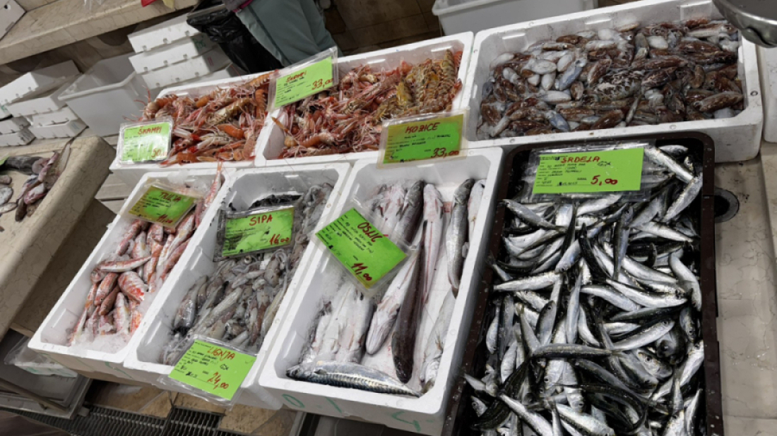 Prvog dana Nove godine kreće lovostaj na srdele, nadležno ministarstvo daje potpore