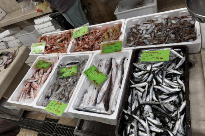 Prvog dana Nove godine kreće lovostaj na srdele, nadležno Ministarstvo daje potpore