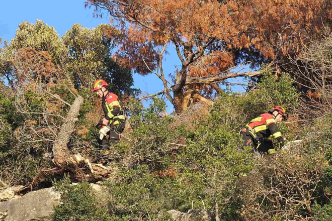FOTO BILJEŠKA Vatrogasi JVP Rovinj uklonila stijene i borove koji su bili opasni po građane