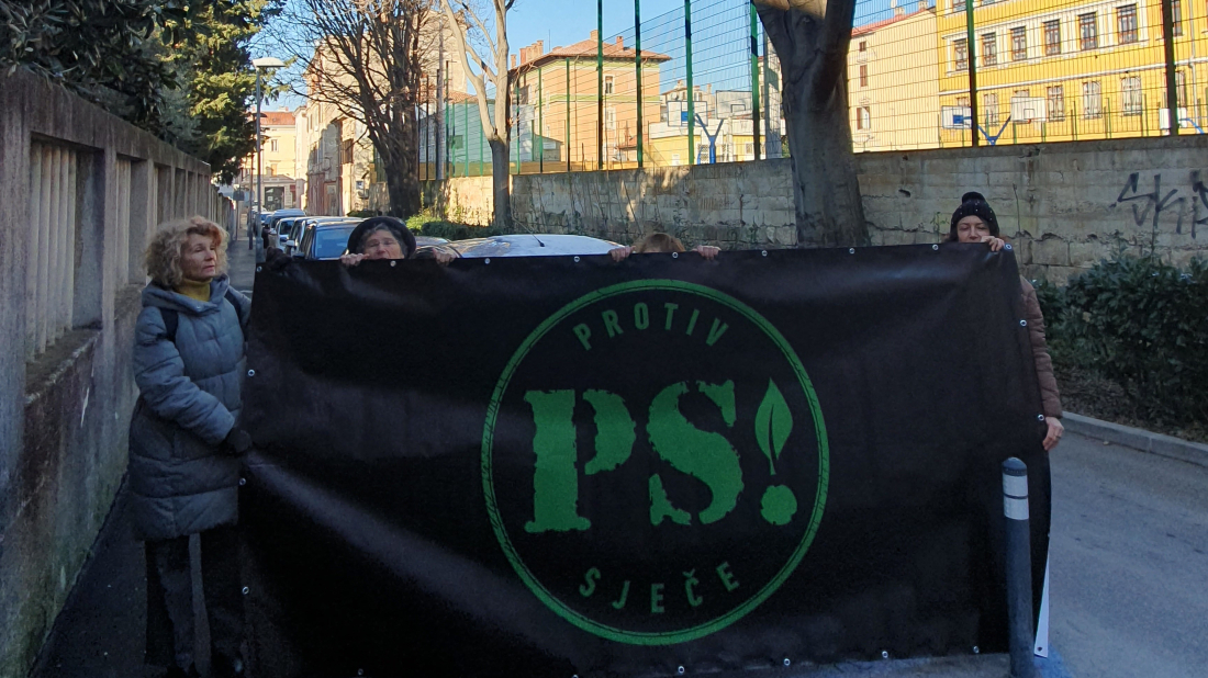 Inicijativa Protiv sječe! upozorava: Hoće li Pula ostati bez stoljetnog drvoreda kod "žute škole"?