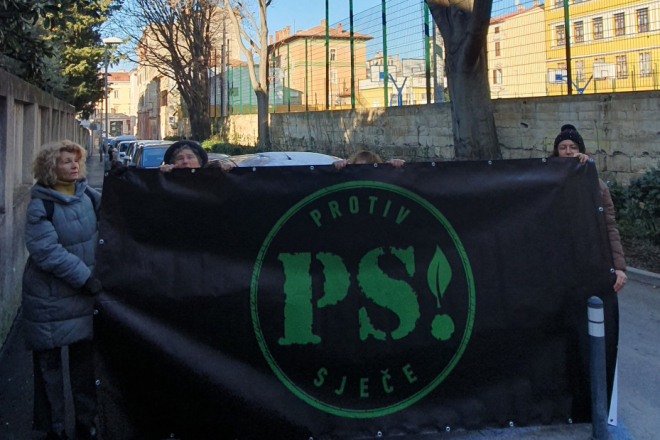 Inicijativa Protiv sječe! upozorava: Hoće li Pula ostati bez stoljetnog drvoreda kod "žute škole"?