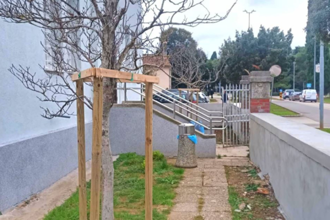 Poreč: Nova faza akcije (Za)zeleni Poreč obuhvača više od 800 novih sadnica