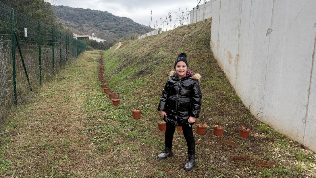 Rovinj: Tim Valbruna Sport Rovinj na Civilnom strelištu Turnina posadio više od 500 novih sadnica