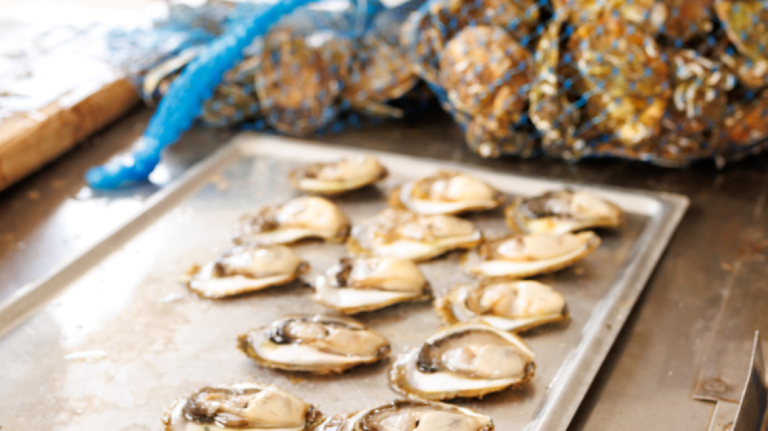 Novo izdanje Dana limskih oštriga na rasporedu je za samo dva mjeseca!