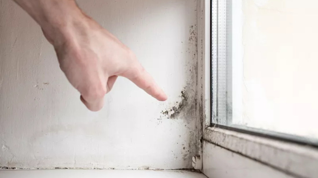 Kako je Livio iz Marčane uklonio vlagu i plijesan u svom domu i apartmanu