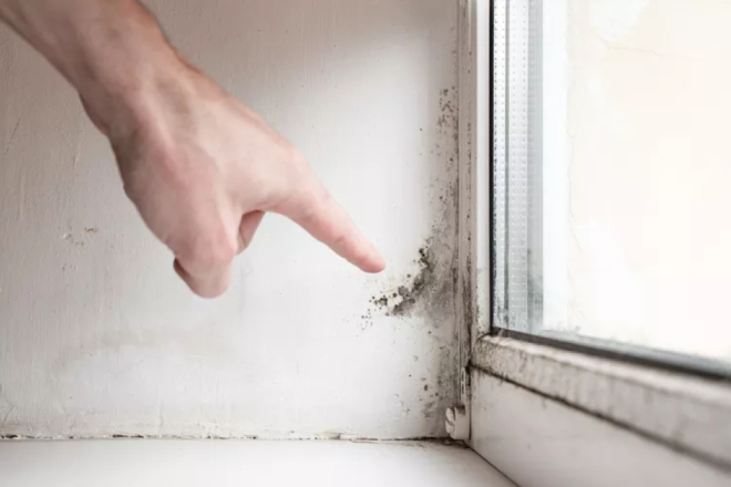 Kako je Livio iz Marčane uklonio vlagu i plijesan u svom domu i apartmanu