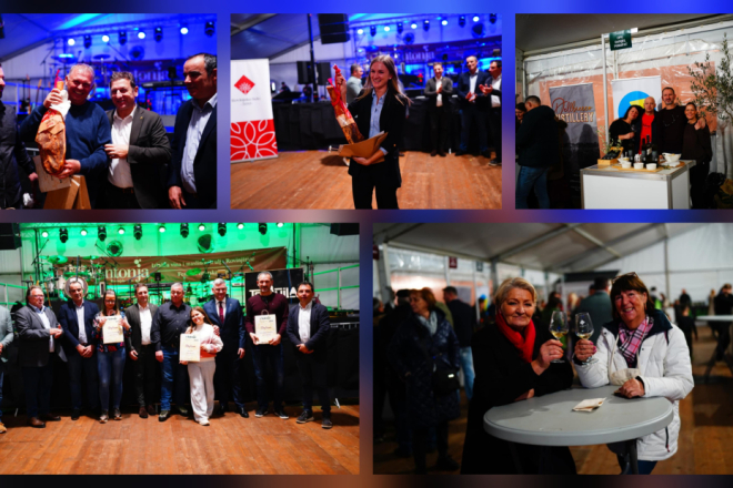 Poznati pobjednici ovogodišnje Antonje: OPG Kap najbolji među maslinarima, Matošević i Vivoda slavili u modernim vinima