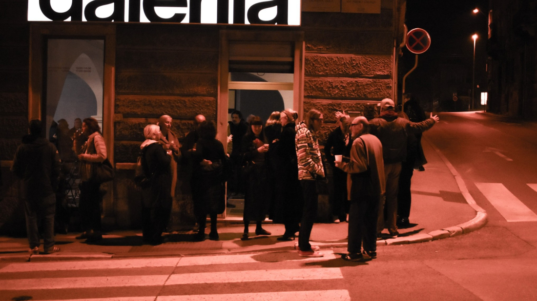 Pula: U Galeriji Novo otvorenje izložbe "FLUX: Female Digital Creativity – izbor s Industrijskog bijenala"