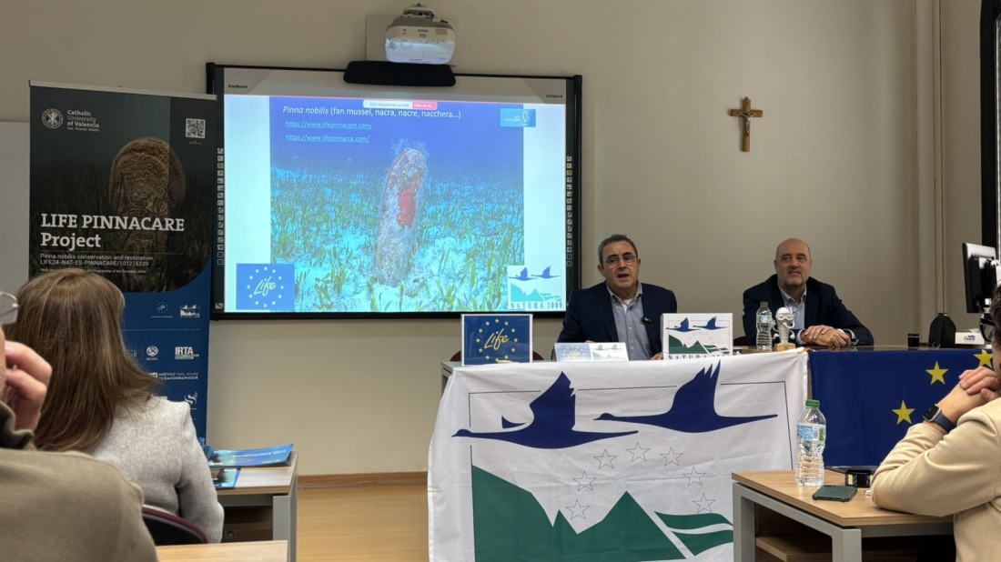 Aquarium Pula sudjeluje u međunarodnom projektu očuvanja plemenite periske