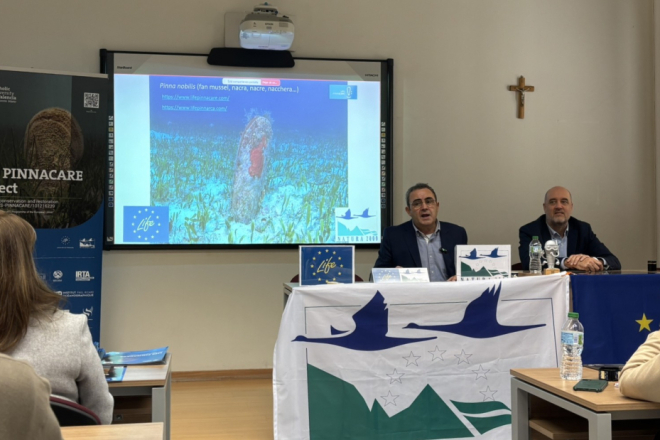 Aquarium Pula sudjeluje u međunarodnom projektu očuvanja plemenite periske