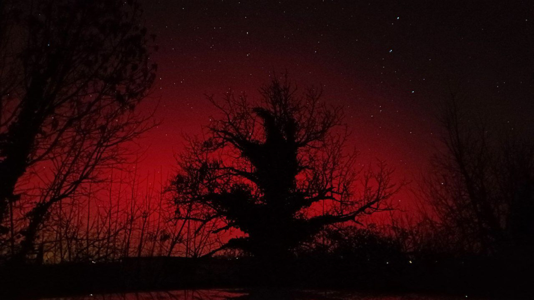 Devastacija noćnog krajobraza u Vidulinima: Žminjština, od pionira očuvanog noćnog krajobraza do unakaženog prostora