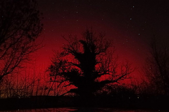 Devastacija noćnog krajobraza u Vidulinima: Žminjština, od pionira očuvanog noćnog krajobraza do unakaženog prostora