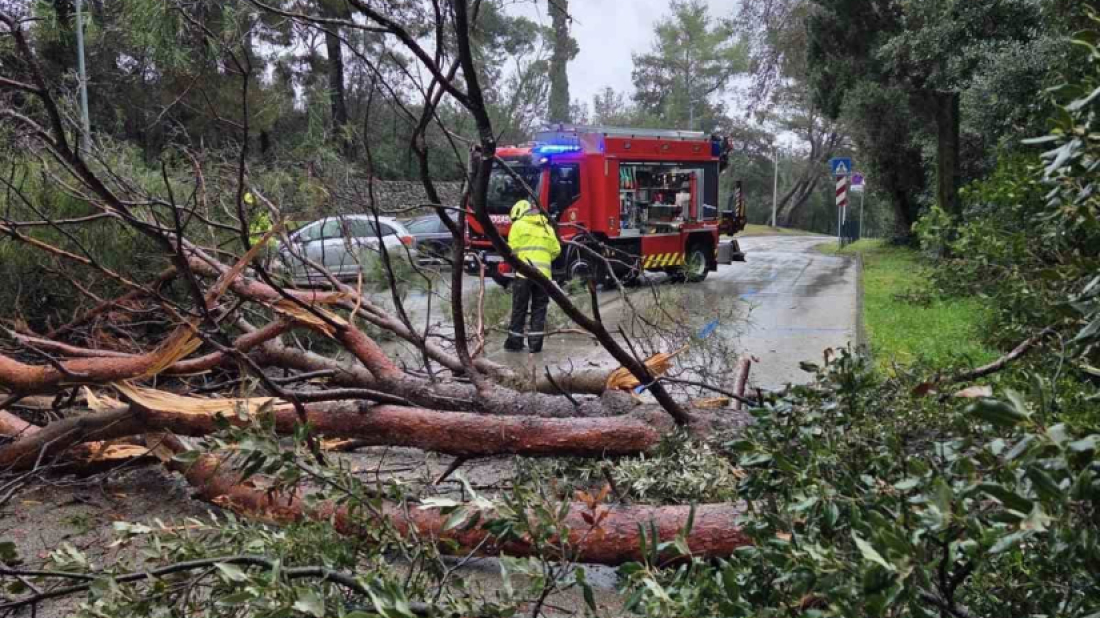 Rovinj: Jak vjetar i obilna kiša srušili stabla na cestu, vatrogasci ih brzo uklonili