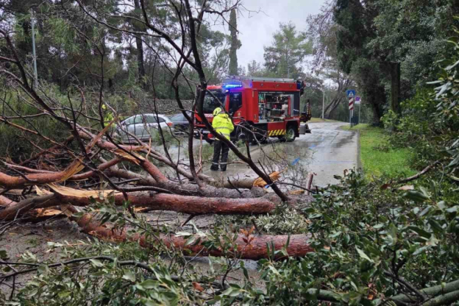 FOTO Brza reakcija JVP Rovinj spriječila probleme u prometu