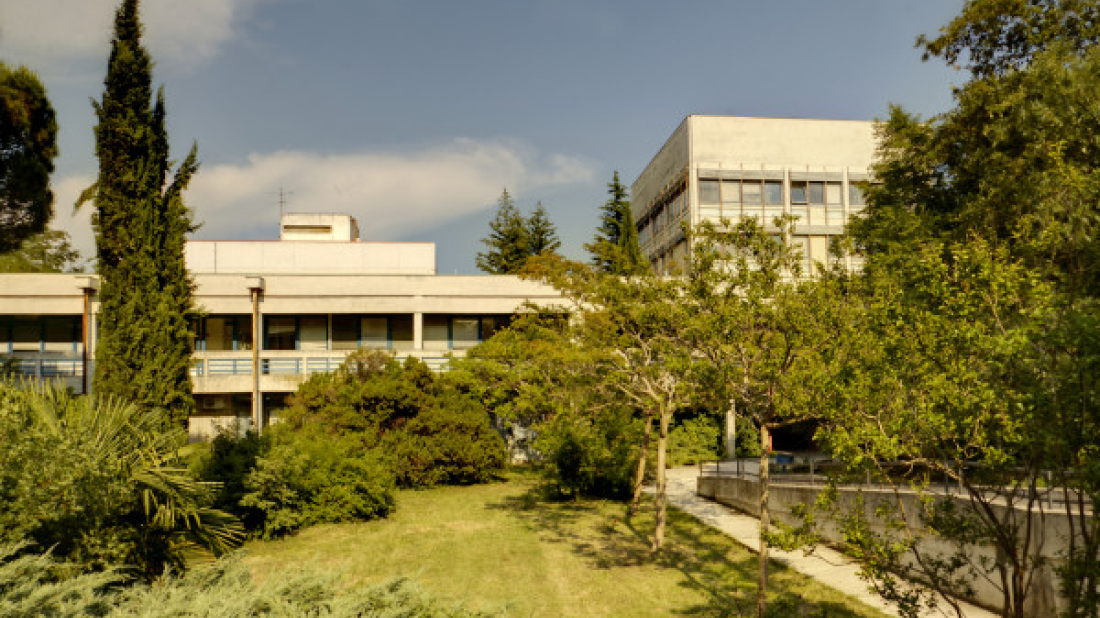 Veliko srce Labinštine: Udruga Mendula prikuplja 48.500 eura za suvremeni ginekološki ultrazvuk