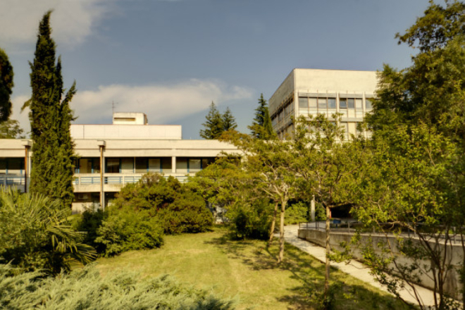 Veliko srce Labinštine: Udruga Mendula prikuplja 48.500 eura za suvremeni ginekološki ultrazvuk