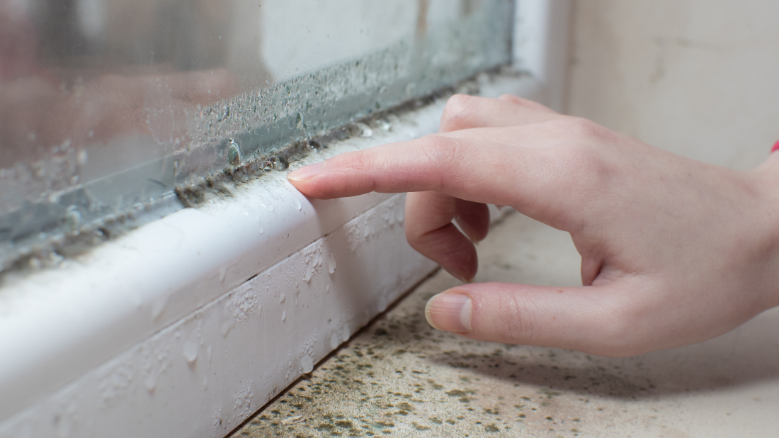 Dugoročno rješenje protiv vlage u kućanstvima - decentralizirani ventilacijski sustavi