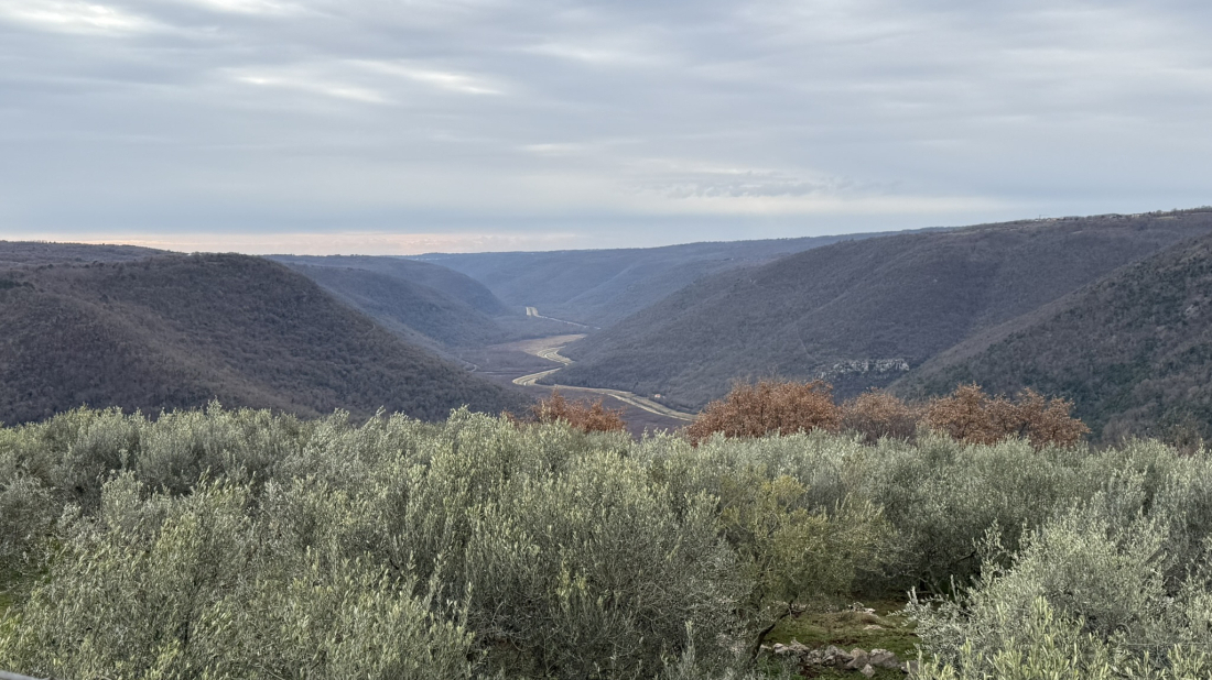 Bušeniga – skriveno mjesto Pićanštine idealno za pogled na Rašu i predah u prirodi!