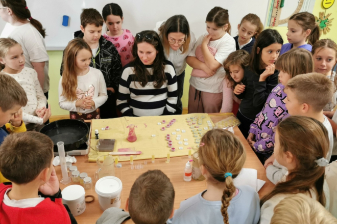 Kako prepoznati i koristiti samoniklo bilje: Odgovore znaju učenici trećih razreda OŠ Jurja Dobrile Rovinj