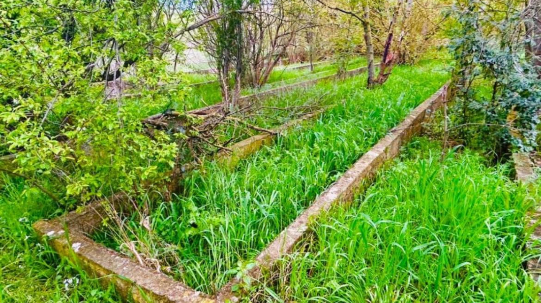 Pragrande skriva pulski rasadnik iz 19. stoljeća: Fischerova klijališta traže hitnu zaštitu!