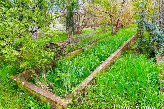 Pragrande skriva pulski rasadnik iz 19. stoljeća: Fischerova klijališta traže hitnu zaštitu!