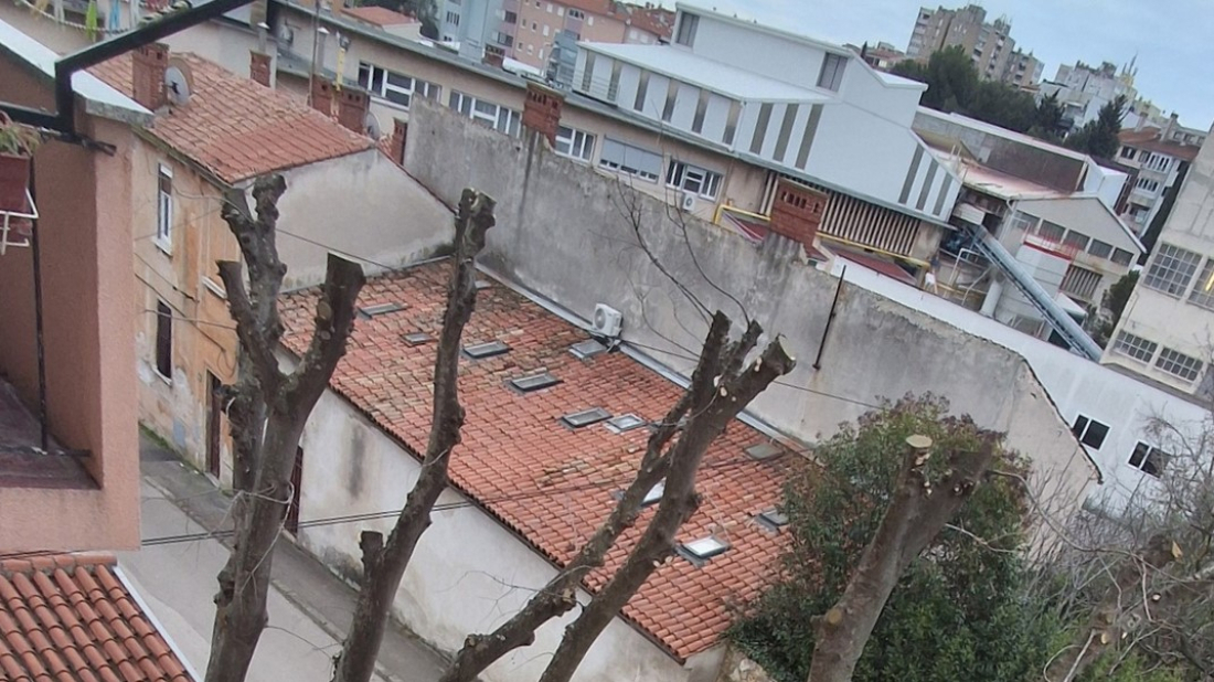 Devastacija stabala na Monte Zaru u Puli: Utvrđuje se tko je dao nalog