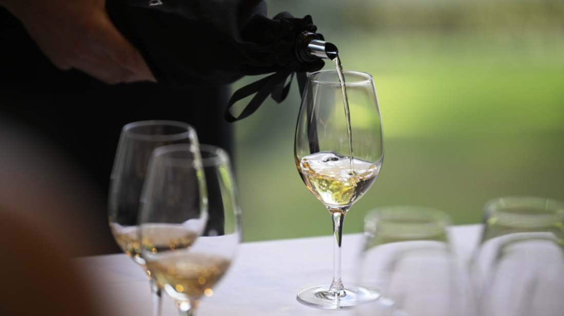 Vrhunske ocjene za mlade istarske malvazije na En Primeur u Zagrebu