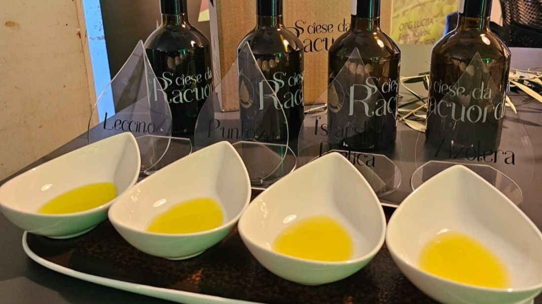 Istra zlatna u New Yorku: Rovinjska Olea Magica i OPG Paunović iz Bala pomeli konkurenciju na svjetskom natjecanju ulja