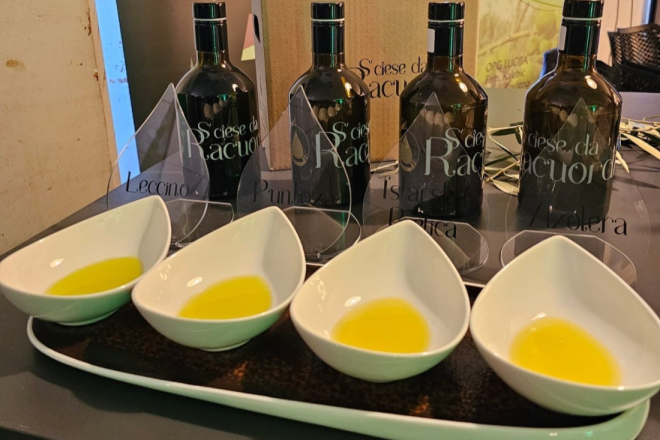 Istra zlatna u New Yorku: Rovinjska Olea Magica i OPG Paunović iz Bala pomeli konkurenciju na svjetskom natjecanju ulja