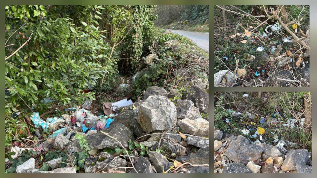 Sramota: Uz sav odbačeni otpad u šumi kraj Štanjere završila čak i WC daska