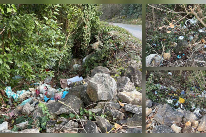 Sramota: Uz sav odbačeni otpad u šumi kraj Štanjere završila čak i WC daska