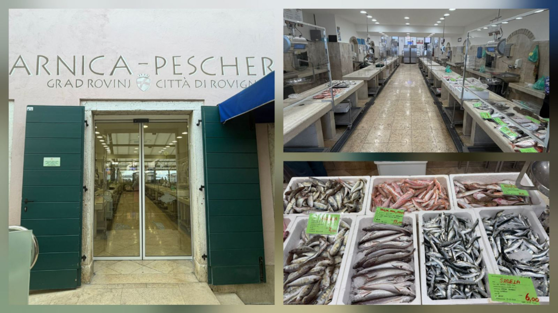 Đir po ribarnici: Vratila se srdela — a s njom i viša cijena