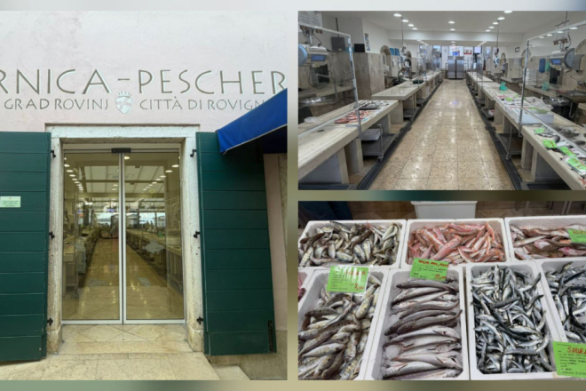 Đir po ribarnici: Vratila se srdela — a s njom i viša cijena