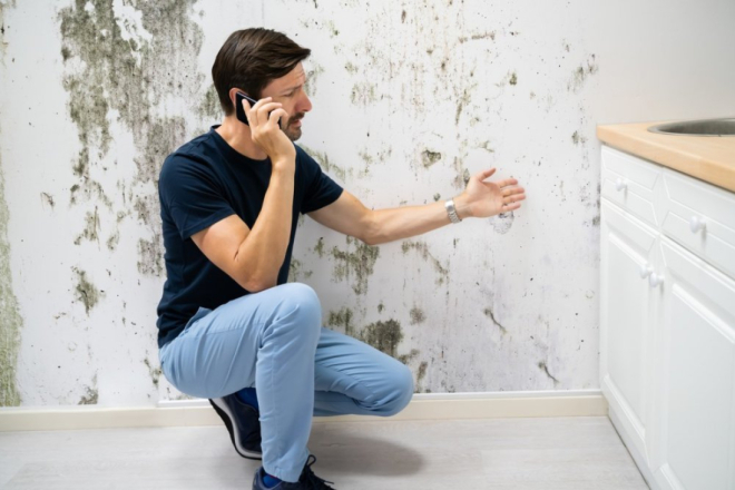 Pet najčešćih pitanja o pojavi vlage i plijesni u kući i stanu