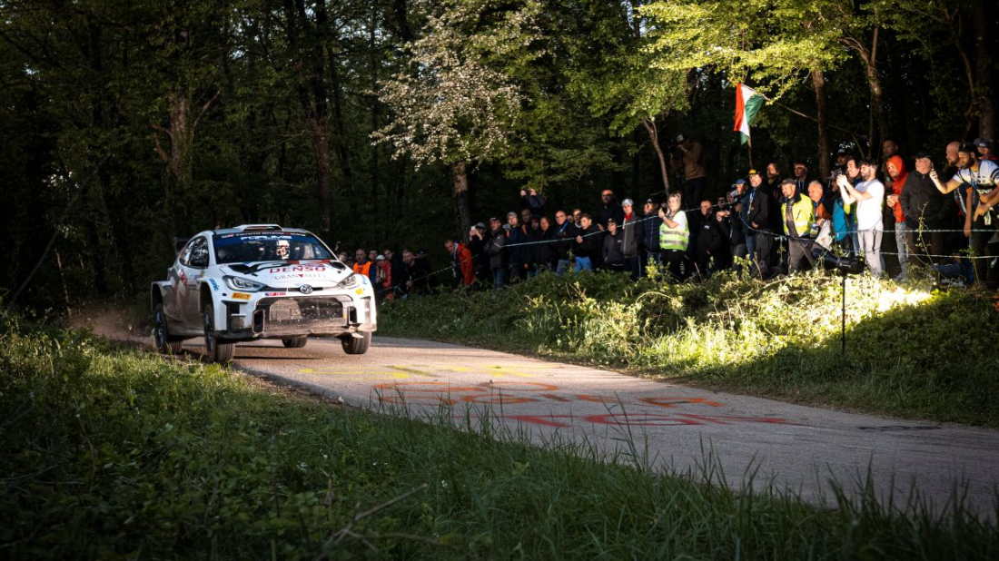 WRC stiže u srce Istre: Pazinština i motovunski brežuljci postaju svjetska reli pozornica
