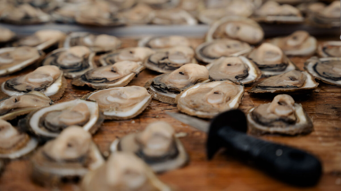 U ožujku Lim ponovno slavi oštrige i vrhunske delicije: poznat program Dana limskih oštriga