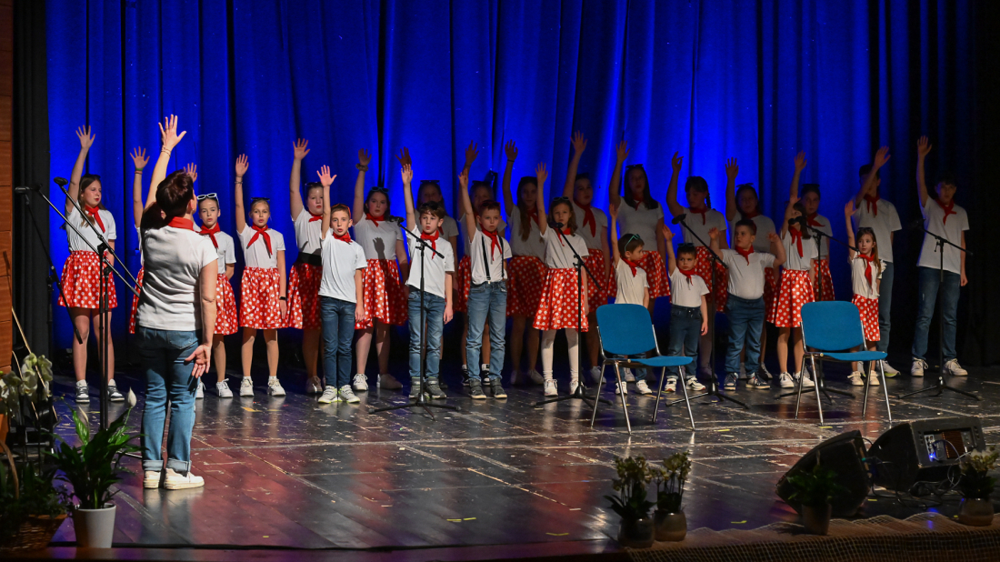 Pazinski umirovljenici petom humanitarnom akcijom prikupljaju sredstva za opremanje pazinskog stacionara