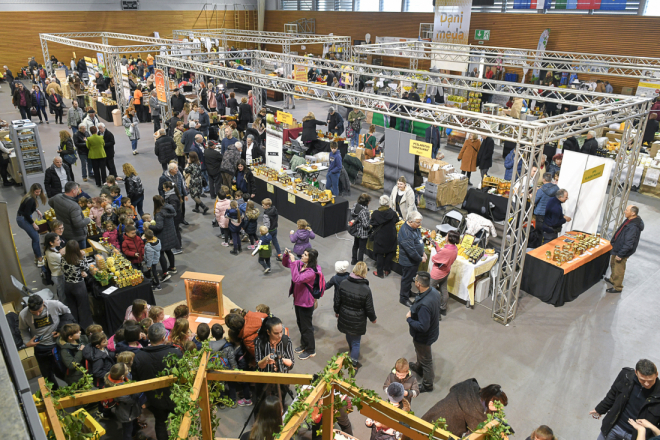 Danas se u Pazinu otvaraju jubilarni 20. Dani meda: tri dana posvećena pčelarstvu, kvaliteti i tradiciji