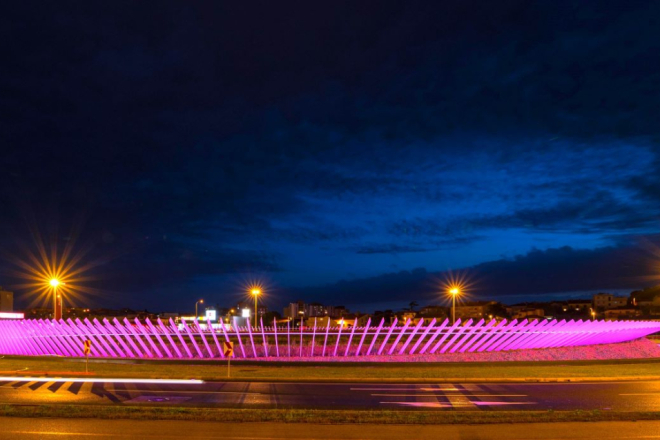 ROTOR U ŠIJANI VEČERAS U RUŽIČASTOM: Pula obilježava Međunarodni dan rijetkih bolesti