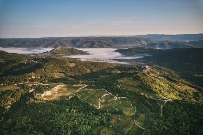 Fotografija istarskog vinograda među 50 svjetskih pejzaža na izložbi muzeja Cité du Vin