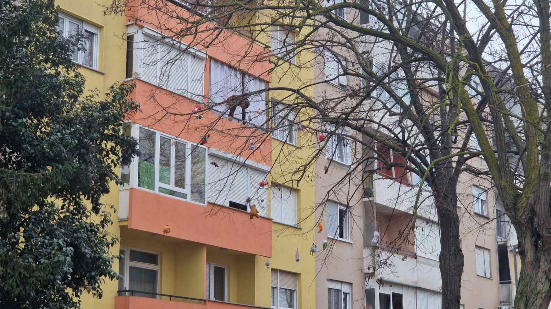 Drvo koje mami osmijeh: U Puli osvanulo stablo puno plišanih medvjedića