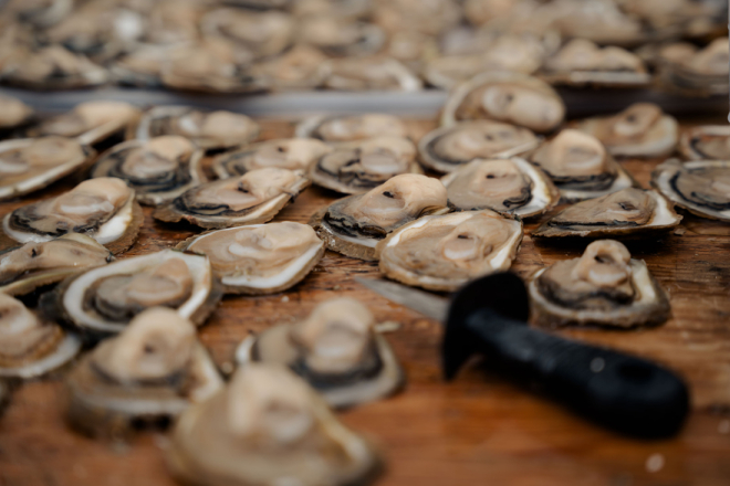 OD UZGAJALIŠTA DO BRENDA: Evo kako su Emil Sošić i njegova Istrida izgradili prepoznatljive limske oštrige