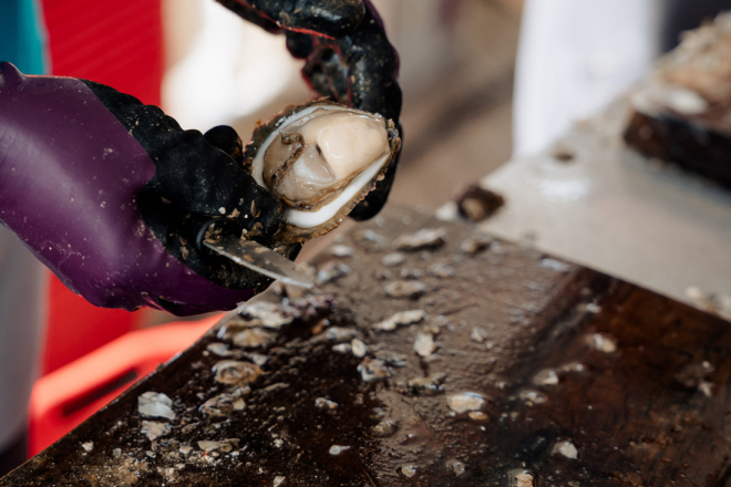 Kamenice u glavnoj ulozi: Evo što donosi Dan limskih oštriga na Limu