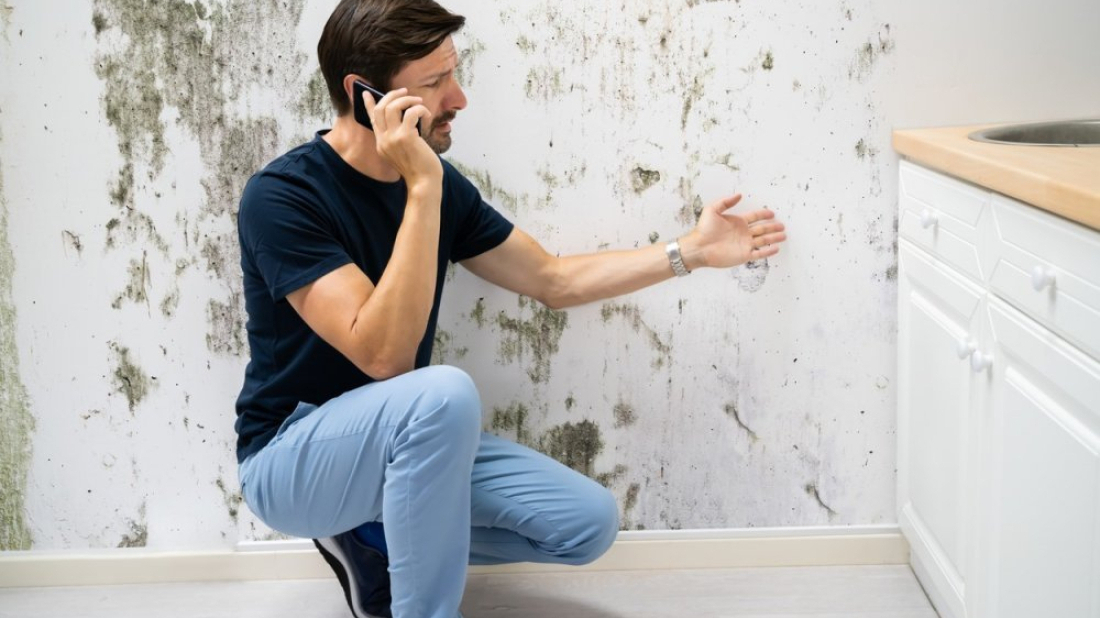 Vlažnost u domu: Zašto odvlaživači pomažu, ali nisu trajno rješenje