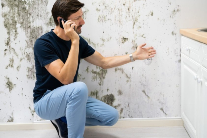 Vlažnost u domu: Zašto odvlaživači pomažu, ali nisu trajno rješenje