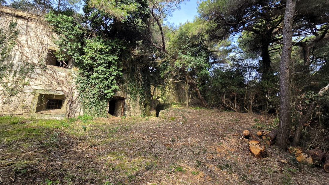 Uređen pristup otoku Sv. Andrija: Osigurana je bolja prohodnost staza i sigurniji pristup