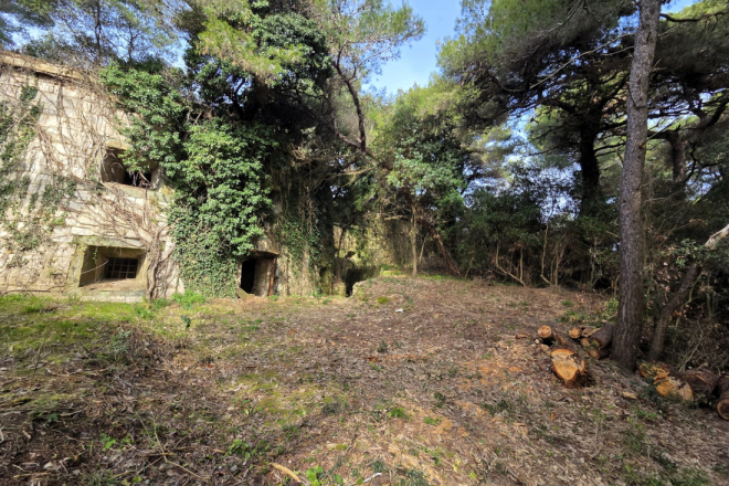 Uređen pristup otoku Sv. Andrija: Osigurana je bolja prohodnost staza i sigurniji pristup