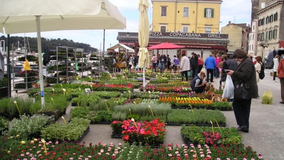 Rovinj u znaku cvijeća: Krajem ožujka stiže 8. Rovinjska rožica – proljetni sajam cvijeća i domaćih proizvoda